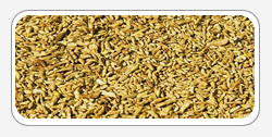 Quercetin