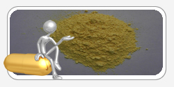 Quercetin